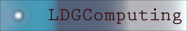 LDGComputing.com Logo